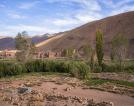 REF . 8908 /OCT/ 2023/ Maroc 