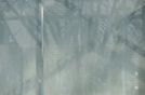 REF.9085 / AVR 2013