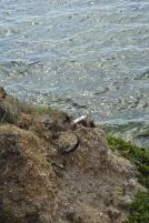 REF . 2789 / JUIL 2016 / Aude